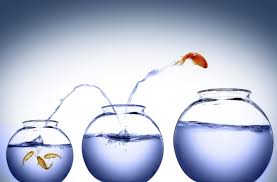 Sustained Excellence